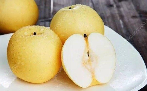 减肥能吃梨吗