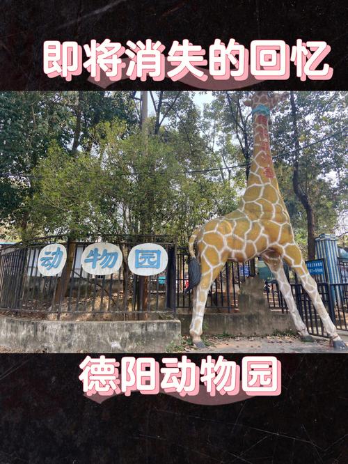 漳州动物园开放时间